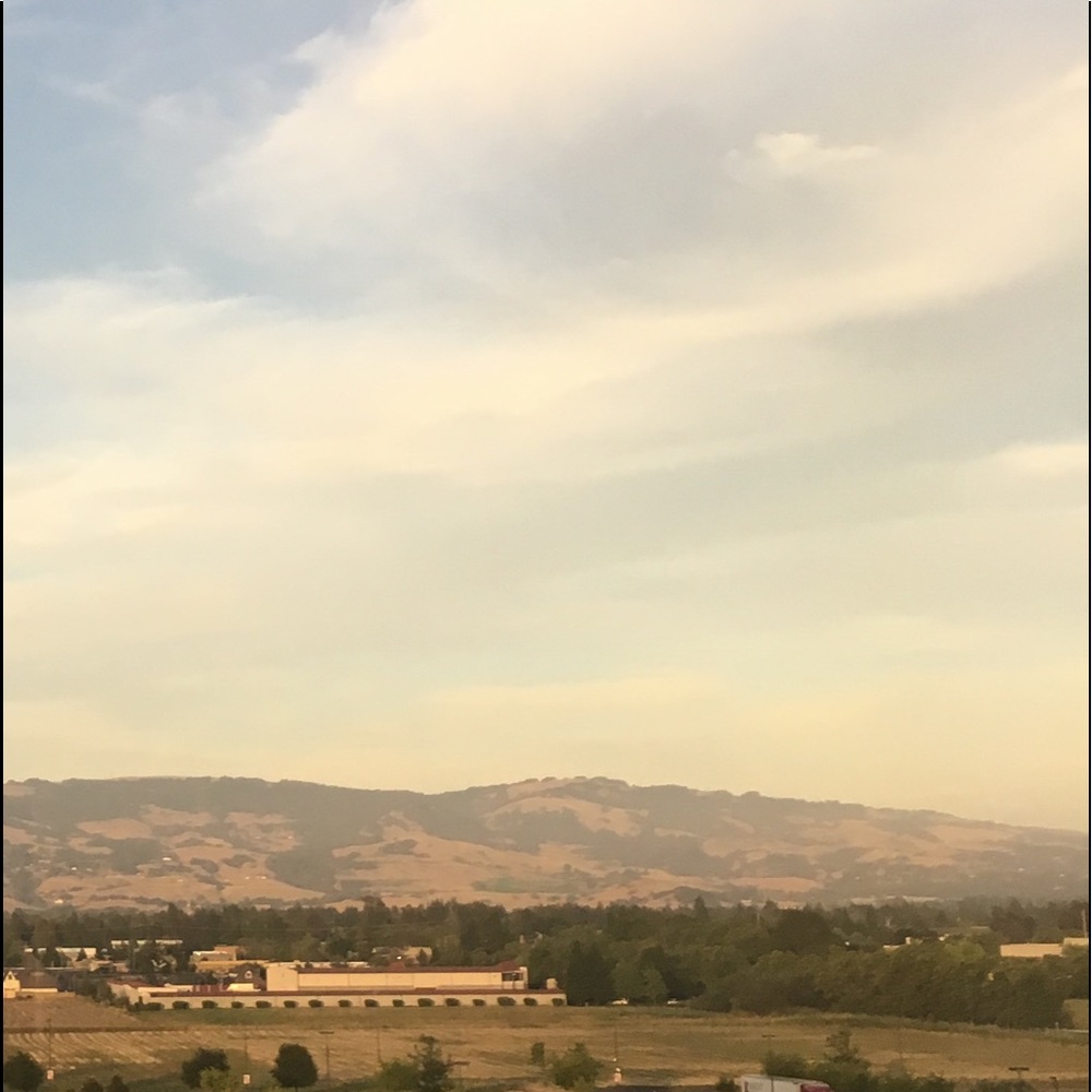 Meet your Posher, Ava